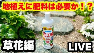 ◆【地植えの草花に液体肥料は必要なのか！？】LIVE🪴