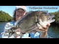 Big Bream 2008 49.5cm 2Kg+ With ChuckT