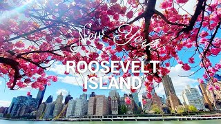 Roosevelt Island Cherry Blossoms Highlights | Great NYC Views from Promenade, Park & Tramway
