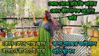 সারা সপ্তাহ আমি কিভাবে গাছের পরিচর্যা করি ওষুধ দিয়ে কলা গাছটা কিভাবে প্রতিস্থাপন করলাম, 🌿♥️