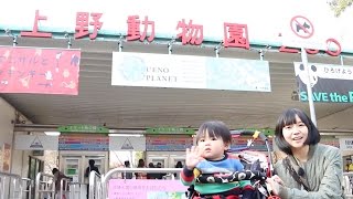 上野動物園に行ってきました