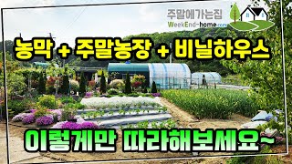 역대급 주말농장 / 245평 주말농장 효과적으로 관리하는 방법 /친환경 멀칭비법 및 농사 아이디어 #제초 #제초작업 #제초제 #제초매트 #멀칭 #주말농장 #농막