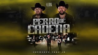 Hermanos Vega Jr - Perro De Cadena (Video Oficial)