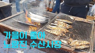 [팔도유람] 노량진 수산시장 - 가을이 좋다