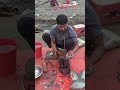 அமேசிங் பிக் டெலபியா மீன் வெட்டும் திறன் fish fishcutting fishcuttingskill youtubeshorts