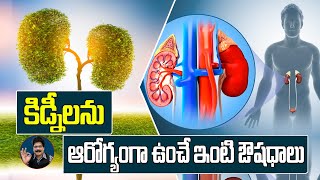 మూత్రపిండాలు జర జాగ్రత్త మిత్రమా! ఈ ఆహారాలే ఔషధాలు నేస్తమా!! Kidney Protecting Foods in Telugu.