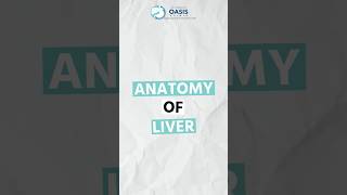 Anatomy of Liver #dradityakulkarni #oasisclinic #cancerprevention #liveranatomy #shorts #cancercure