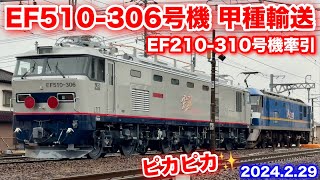 【JR貨物 EF210-310号機+EF510-306号機 甲種輸送8863レ 2024.2.29】