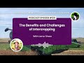 episode 125 benefits and challenges of intercropping with lana shaw