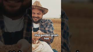 Wheat - A Grain of History