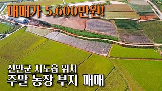 [전남토지매매] 매물번호#175 주말농장부지 매매 ! 신안군 지도읍 감정리 촌땅 시골땅 매매