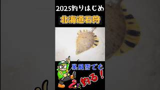 【北海道の釣り】2025つりはじめ　1月2日、石狩湾新港でカレイ狙い！ #釣り #fishing #北の漁場 #道南釣り #タナセンチャンネル #石狩湾新港　#カワガレイ　#北海道の釣り