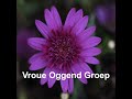 vroue oggend groep 10 10 2024