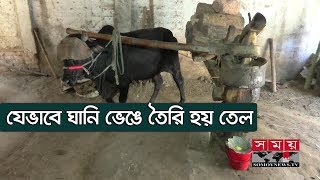 যেভাবে ঘানি ভেঙে তৈরি হয় তেল | Ghani | Traditional Method Of Oil Processing