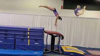 Yurchenko 2 Vault Clinic Level 6/7