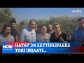 Hatay’da zeytinliklere TOKİ inşaatı... 12 Ağustos 2024 Çalar Saat