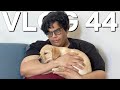 THE DOG VLOG - VLOG 44