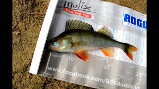 Freshwater Fishing in the Myponga Resevoir