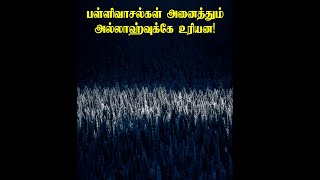 பள்ளிவாசல்கள் அனைத்தும் அல்லாஹ்வுக்கே உரியன!