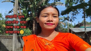 #assamese #vlogs #শেৱালী ফুলাৰ বতৰ## চাদৰ #থুপি