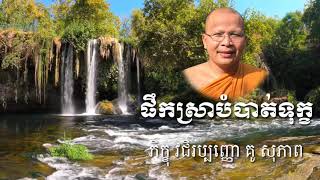 ផឹកស្រាបំបាត់ទុក្ខ  ភិក្ខុ វជិរប្បញ្ញោ គូ សុភាព  Kou Sopheap   អាហារផ្លូវចិត្ត