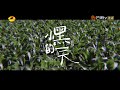 【尝鲜版】张翰与小屋ai持续冷战？这个男人看来是哄不好了！《牧野家族》let it be ep5丨hunantv