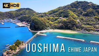 【4K HDR】Uoshima Ehime Japan | Beautiful Nature \u0026 Scenery with Calming Music | Cherry blossom | 愛媛県魚島