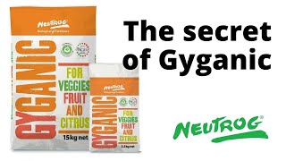 Neutrog TV | The secret of Gyganic