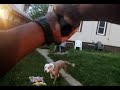 GRAPHIC VIDEO: Body cam footage shows police officer shooting 2 dogs