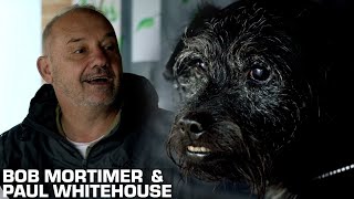 Bob, Paul, \u0026 Ted Visit A Dog Shelter | Gone Christmas Fishing | Bob Mortimer \u0026 Paul Whitehouse