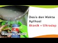 ZPT Atonik Campur Ultradap, Dosis dan Waktu Aplikasi