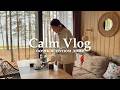 AUTUMN COZY VLOG: forest house, mulled wine recipe, conversations about life, reading (calm vlog)