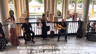 #西班牙 #塞維亞 #西班牙廣場 #佛朗明哥舞蹈 #Spain #Sevilla #PlazaDeEspaña #FlamencoDance