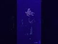 20250215 부산콘서트 고해 황치열 열열열열열창