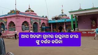 ଆସ ଓଡଙ୍ଗା ଗ୍ରାମର ରଘୁନାଥ ଜୀଉ ଙ୍କୁ ଦର୍ଶନ କରିବା 🙏🙏#youtubevideo #vlogsvideo #odanga #Raghunathatemple