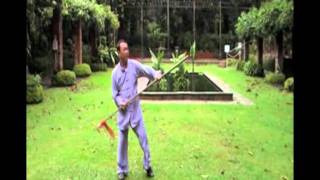 Master Ngiam: Yang's Pear Spear  杨家梨花枪