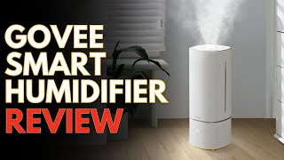 Govee Smart Humidifier Review