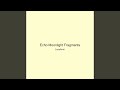 Echo Moonlight Fragments