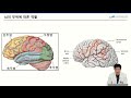 중앙대광명병원 u0026 비온뒤 무증상 뇌경색 치료가 필요할까요 신경과 하삼열 교수