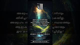 അല്ലാഹുവിനെ സാക്ഷ്യം വാഹിക്കുമ്പോളും ഒരു സിദ്ദീഖിൻ്റെ അവസ്ഥ എങ്ങനെ ആയിരിക്കും❣️