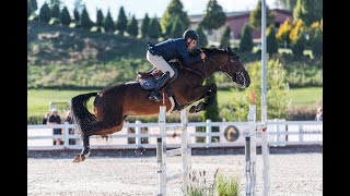 Žirgų sporto renginys – pasaulio taurės etapas. Šou klasės konkūras „Jump \u0026 Drive”