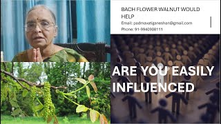 ARE YOU EASILY INFLUENCED? Bach Flower Remedy Walnut will help