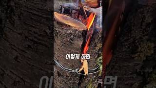 불맛 제대로!😃🥩⛺🔥