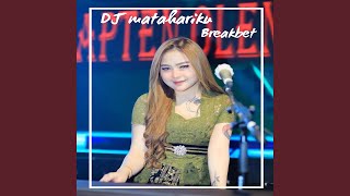 Dj matahariku breakbet