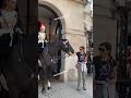 Don’t You Dare Come Near Me! Epic Moments Horse Guards