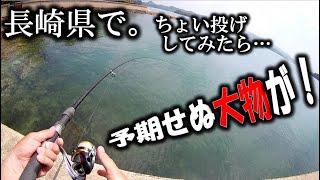 福島港でちょい投げしてみたらまさかの大物が！【海釣り】＜右巻き大好き＞#64