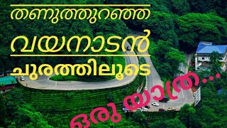 wayanad Ghat roads/Road Trip കോടമഞ്ഞിൽ പുതഞ്ഞ വയനാടൻ ചുരത്തിലൂടെ  ഒരു  യാത്ര