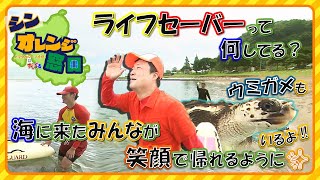 シン オレンジ窓口「ライフセーバーの活動を周知してもらいたい」