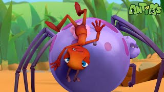 Sticky Situations! | Funny Cartoons For All The Family! | Funny Videos for kids | ANTIKS 🐜🌿