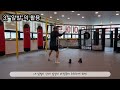 복싱 사우스포 왼손잡이 의 효율적인 운영방식 boxing southpaw efficient operation